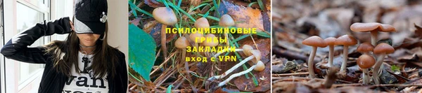 спайс Верея