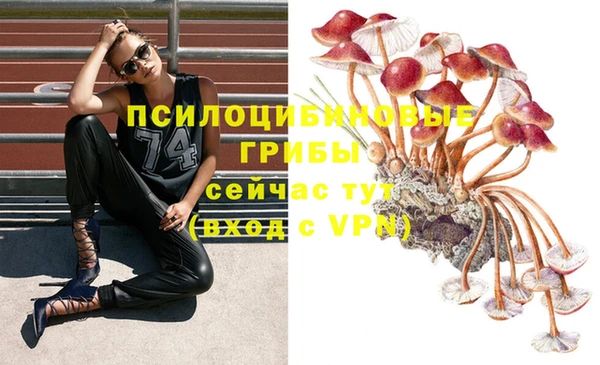 мяу мяу кристалл Верхний Тагил
