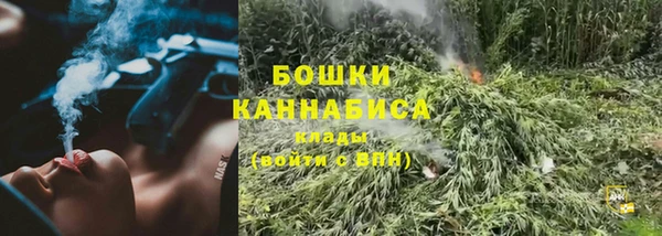 спайс Верея