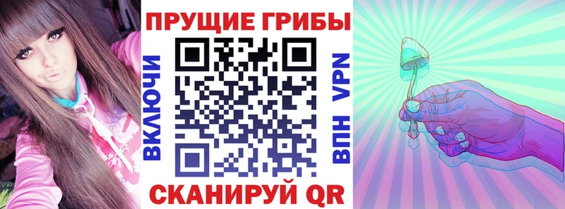 Галлюциногенные грибы Cubensis  Архангельск 